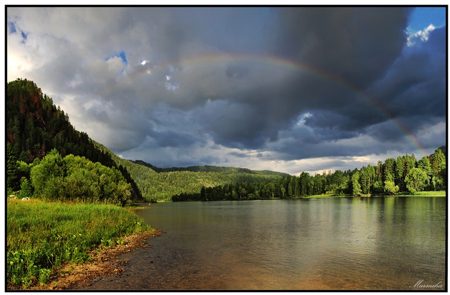 Фото жизнь