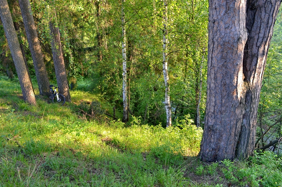 Фото жизнь