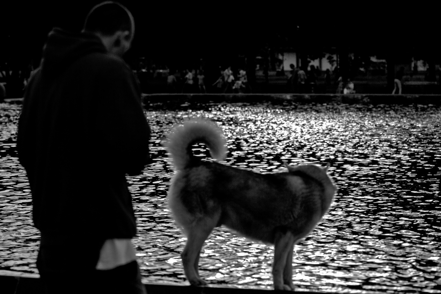 Фото жизнь (light) - Кучеров Алексей - корневой каталог - Dog, man and reflections