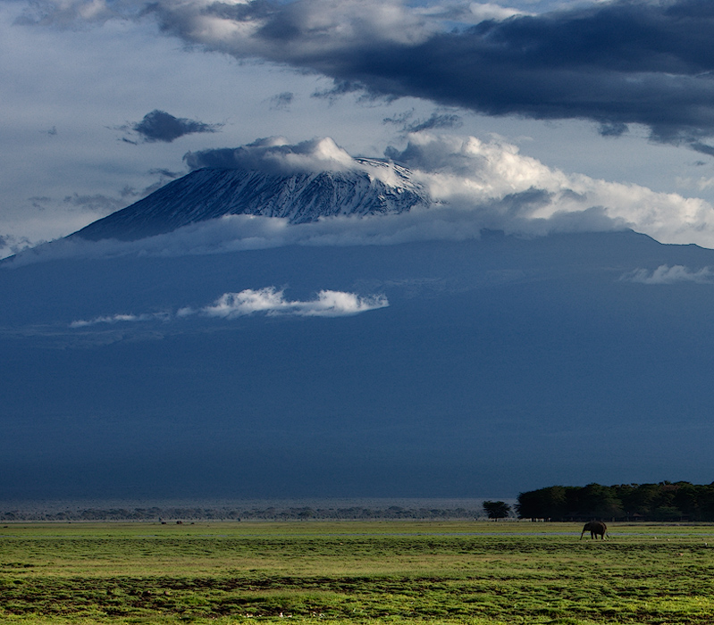 Фото жизнь (light) - kitufo - Kenya - kilimanjaro