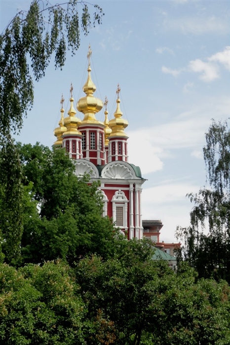 Фото жизнь