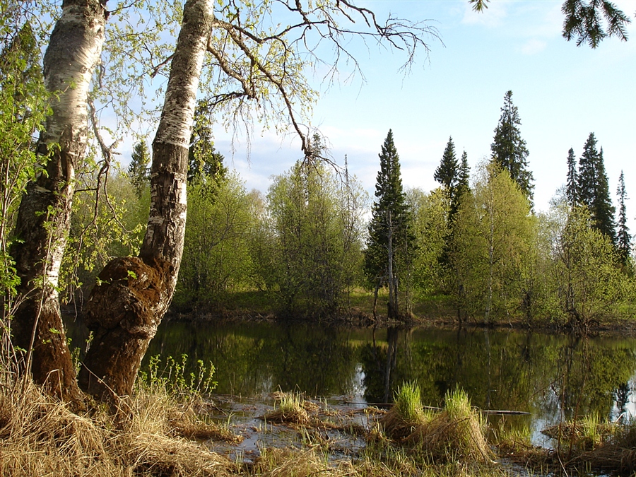 Фото жизнь