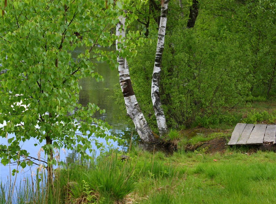 у воды