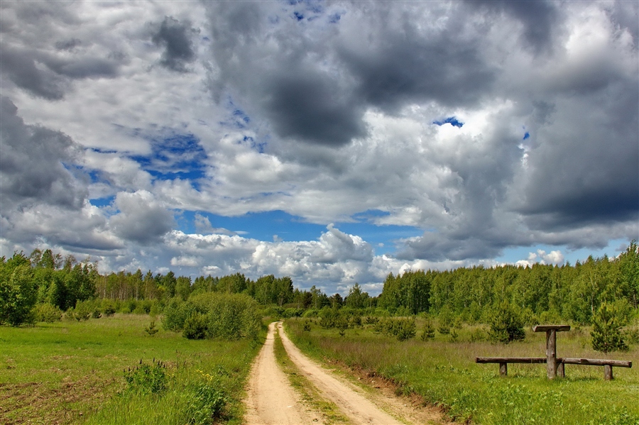Фото жизнь