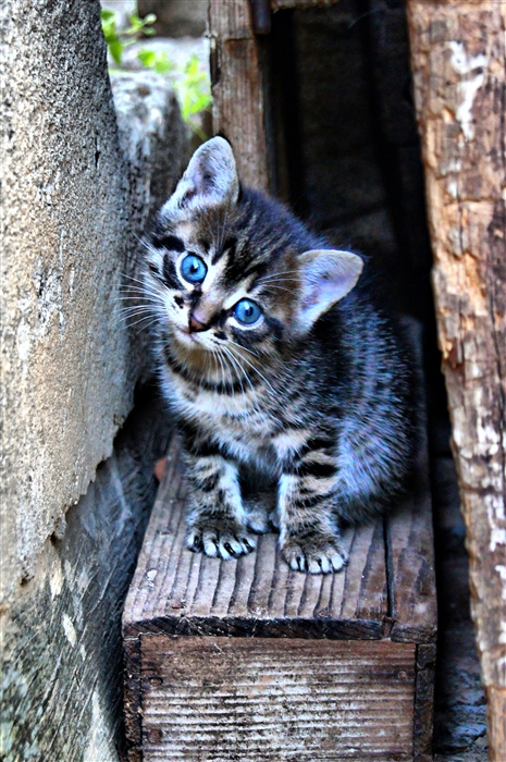 Фото жизнь