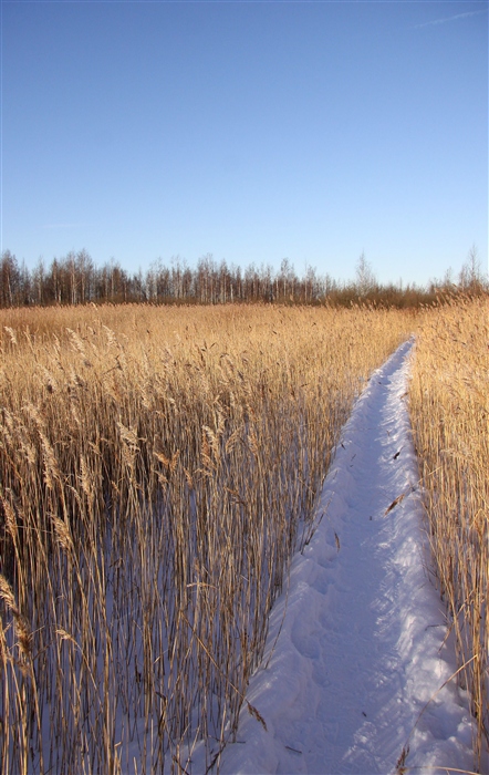 Фото жизнь