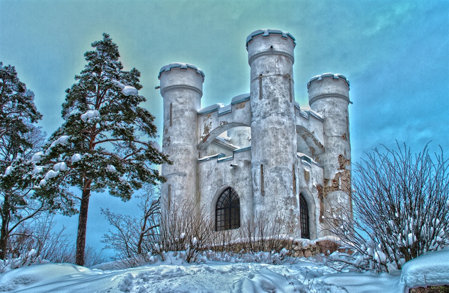 Фото жизнь