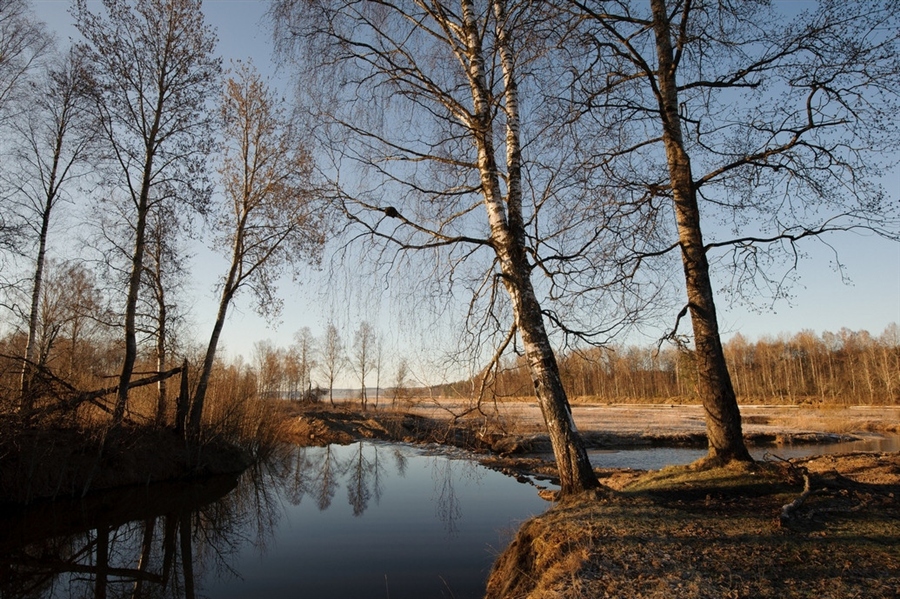 Фото жизнь