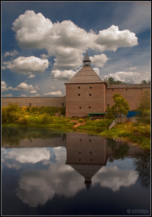 Фото жизнь