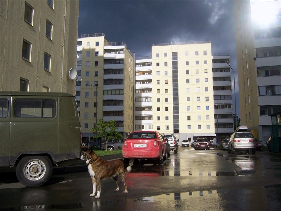 Фото жизнь