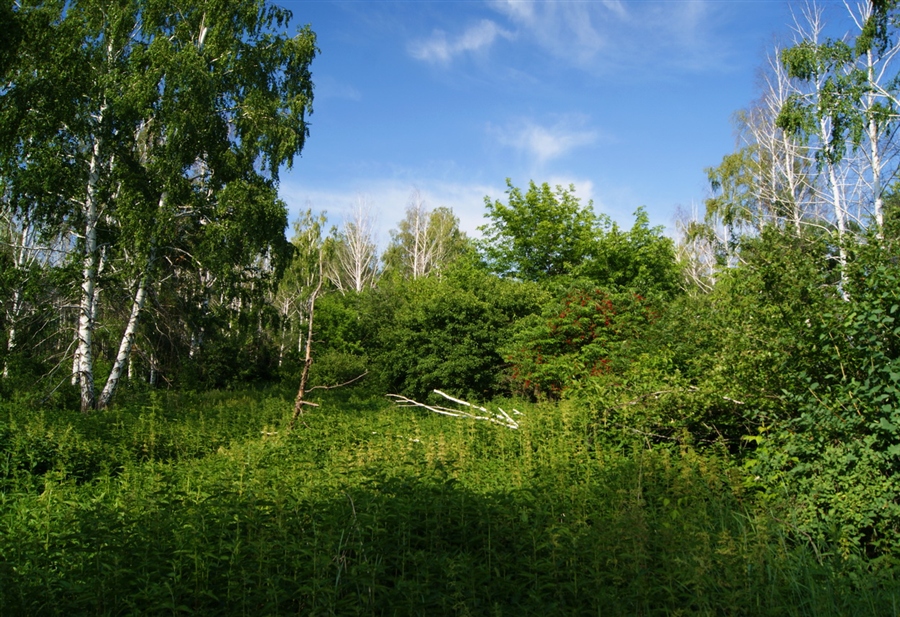 Фото жизнь