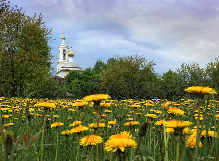 Фото жизнь