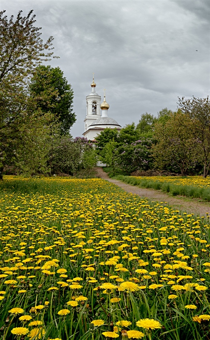 Фото жизнь