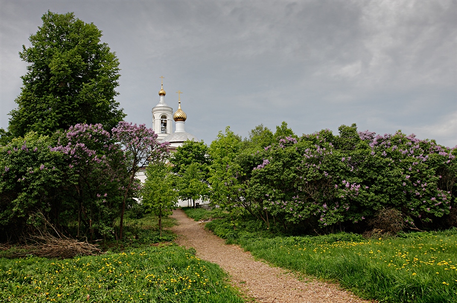 Фото жизнь