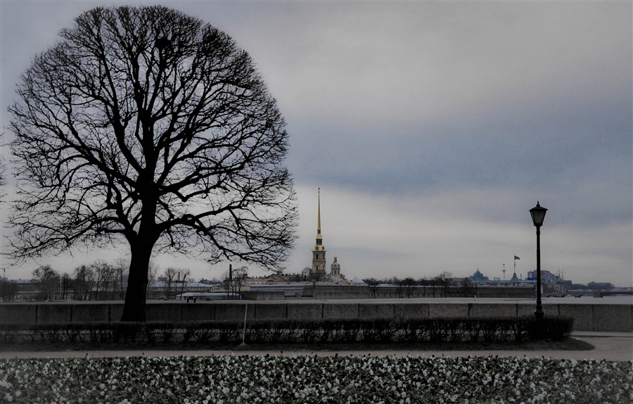 Фото жизнь