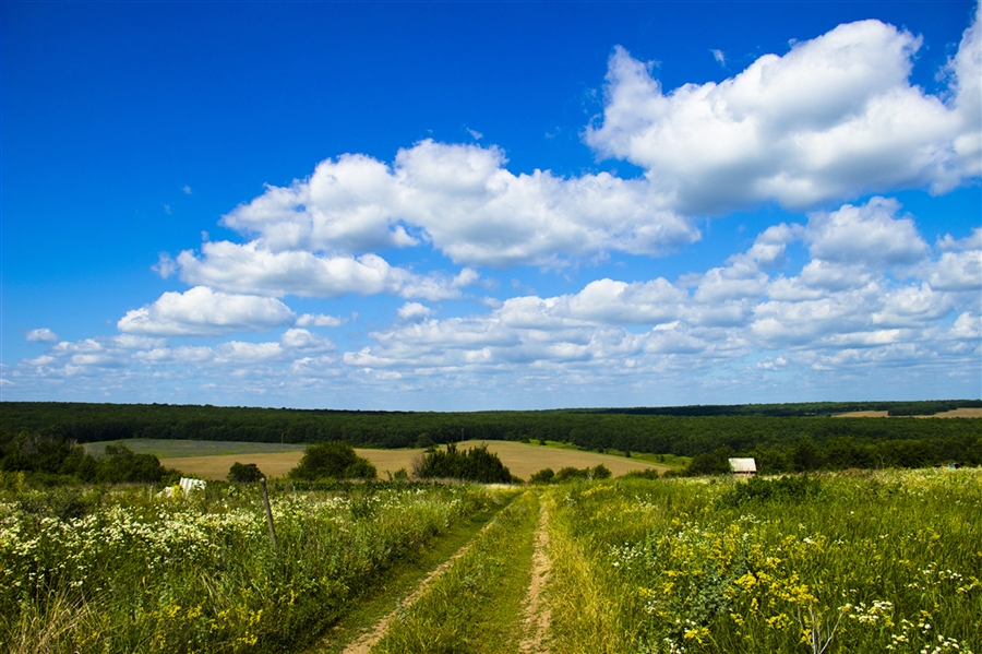 Фото жизнь