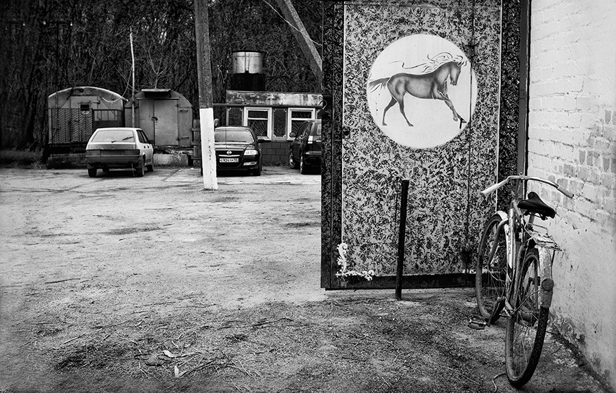 Фото жизнь (light) - Плахтеев Иван - корневой каталог - Кони