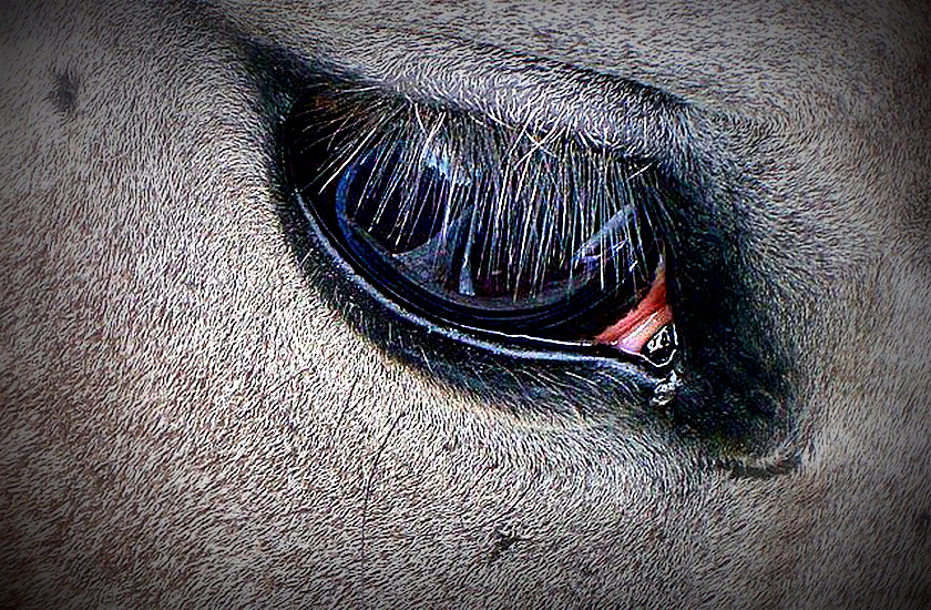 Фото жизнь (light) - wom - корневой каталог - ***