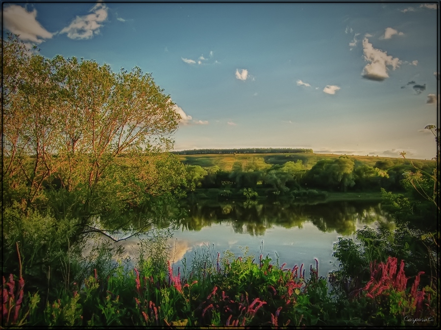Фото жизнь