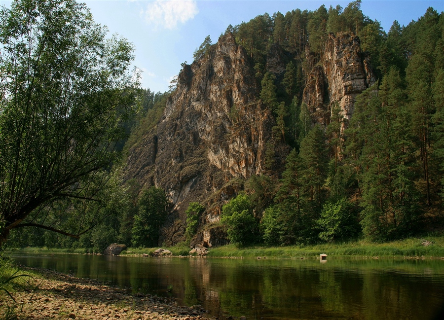 Фото жизнь