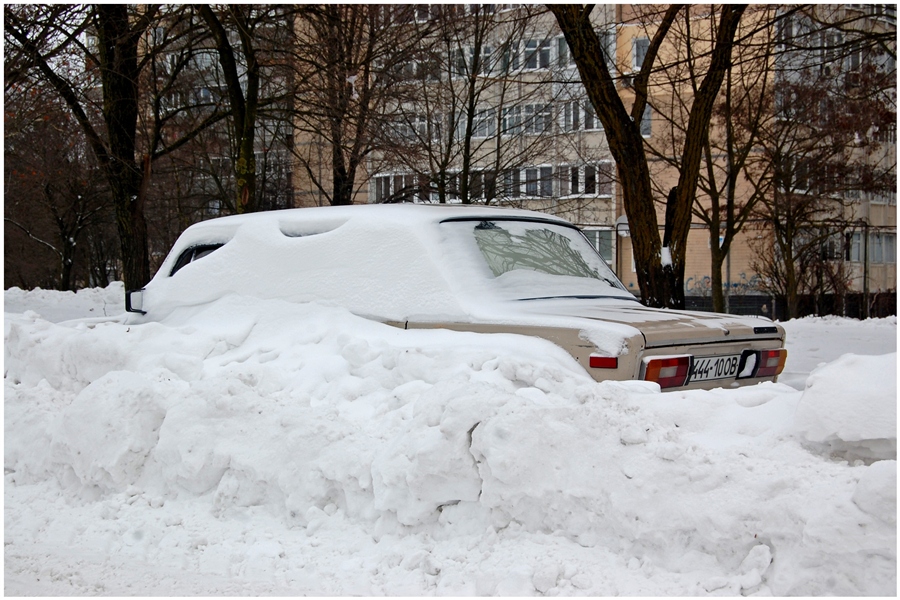 Фото жизнь