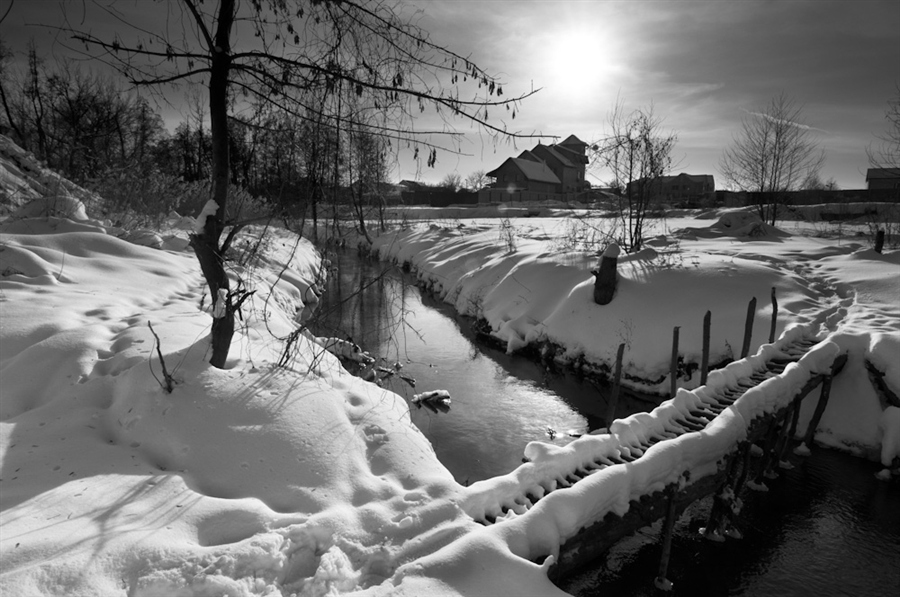 Фото жизнь