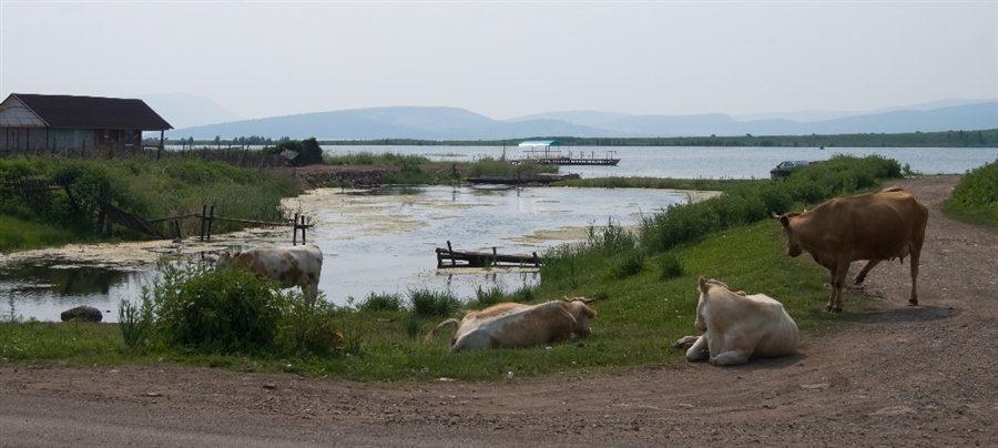 Фото жизнь