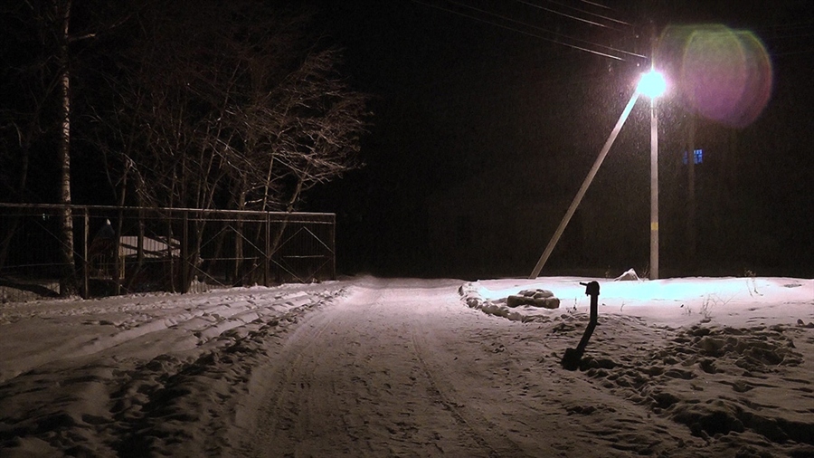 Фото жизнь