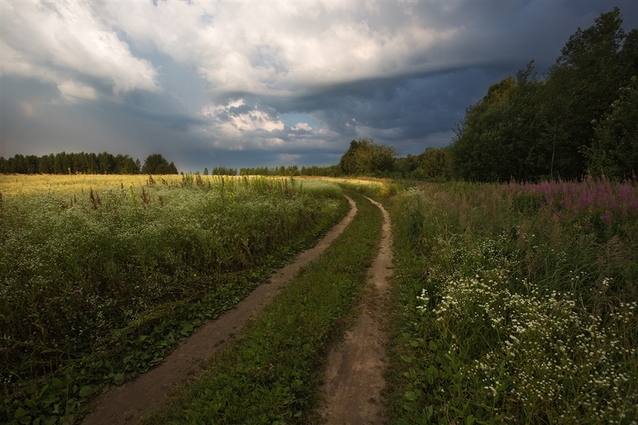 Фото жизнь