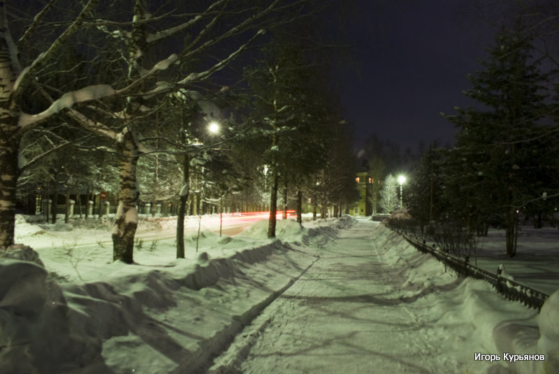 Фото жизнь