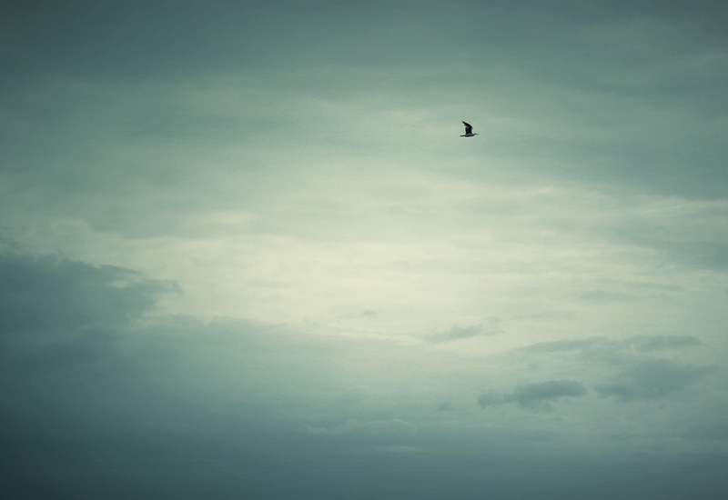 Фото жизнь (light) - Livingstone - корневой каталог - ***