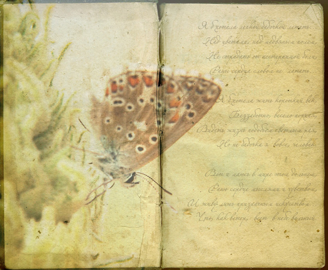 Фото жизнь - Lilly_Ito - В Мире цветов - Я б хотела легкой бабочкой летать...