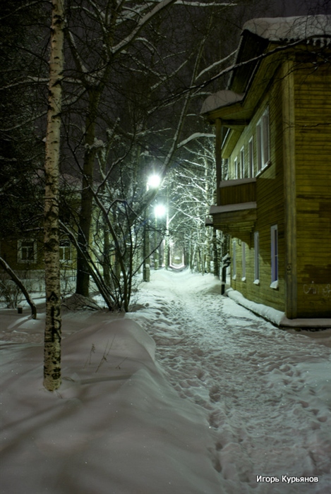 Фото жизнь
