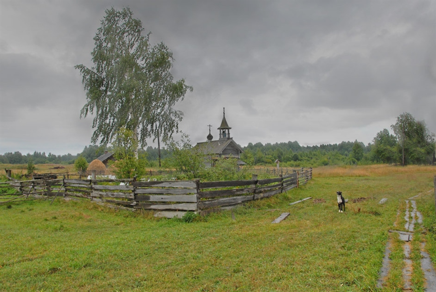 Фото жизнь