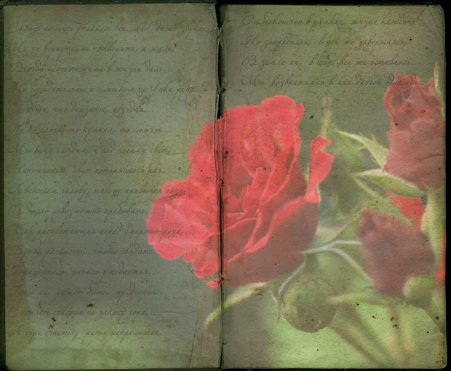 Фото жизнь (light) - Lilly_Ito - В Мире цветов - В позе розы