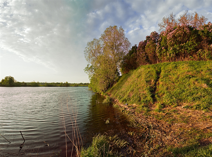 Фото жизнь