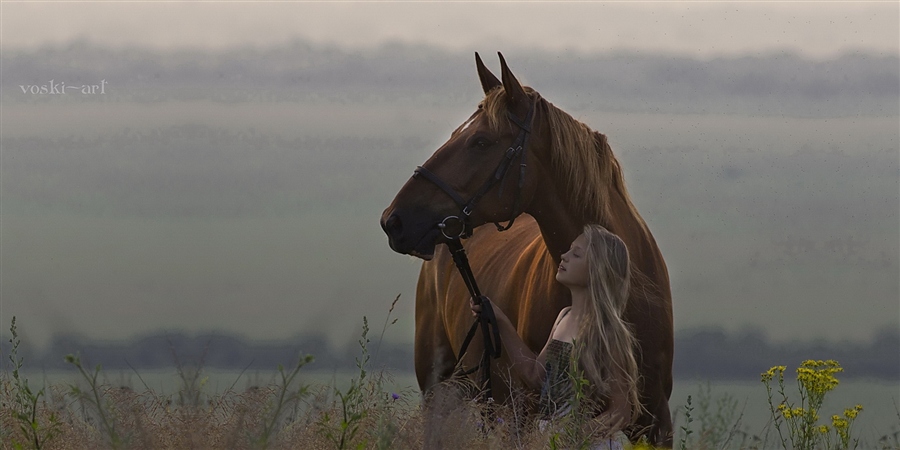 Девочка и лошадь