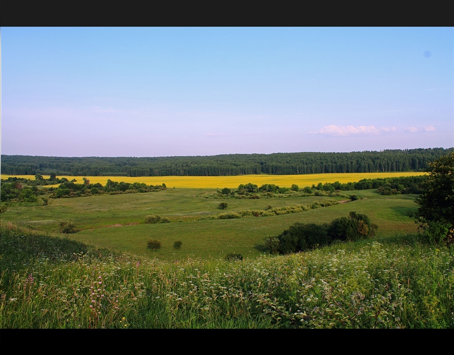 Фото жизнь