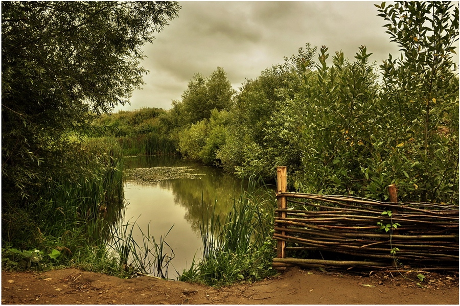 Фото жизнь