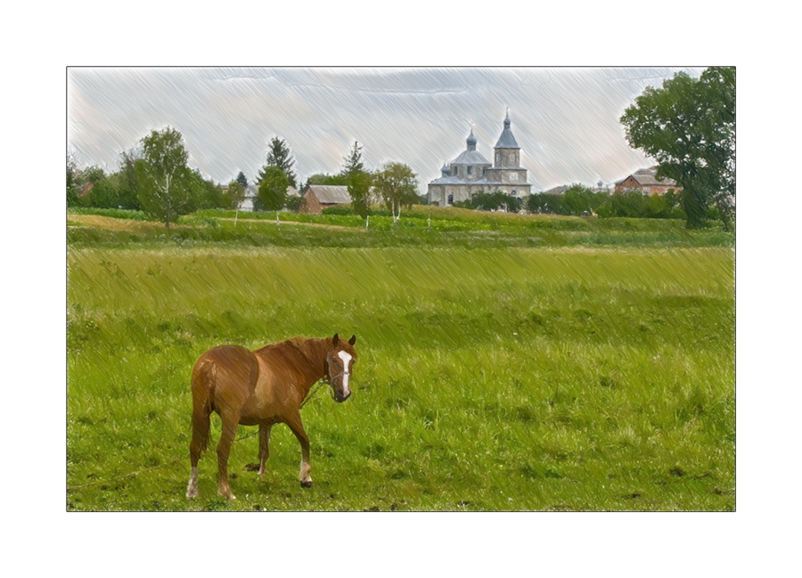 Фото жизнь