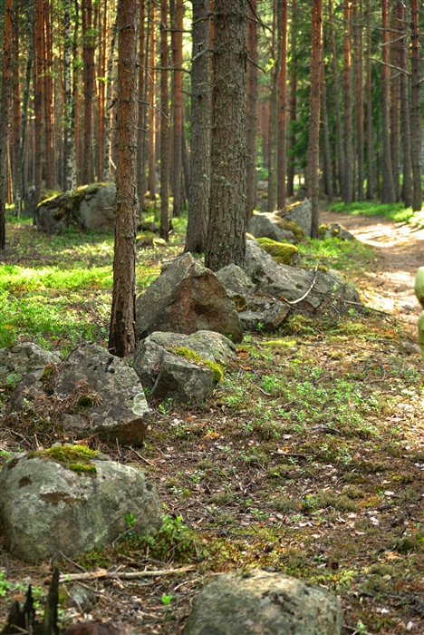 Фото жизнь