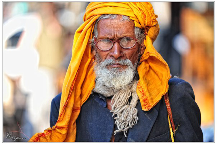 Фото жизнь - Марина Ройтман - корневой каталог - Индия
