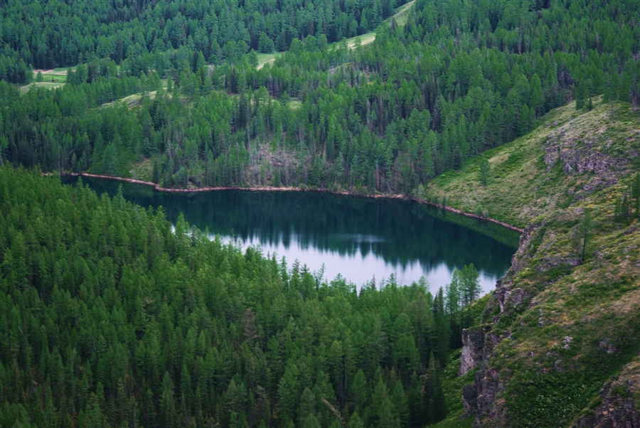 Фото жизнь