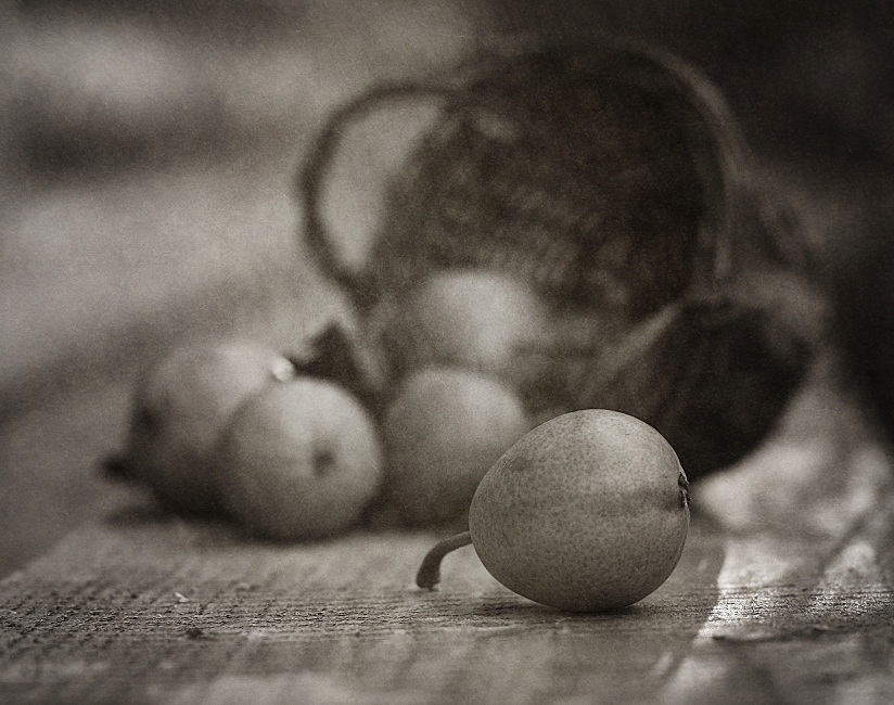 Фото жизнь (light) - Lilliya - корневой каталог - С незрелыми грушами