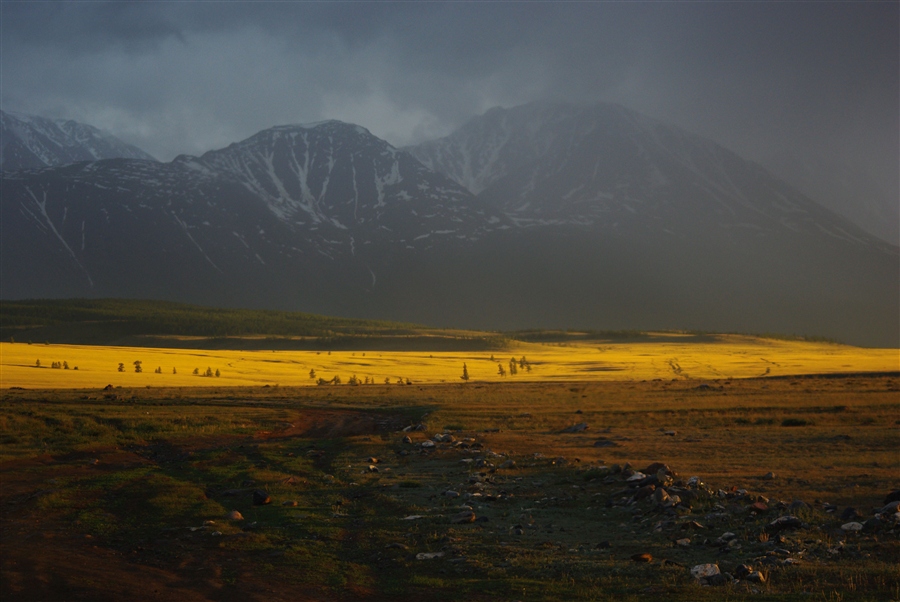 Фото жизнь
