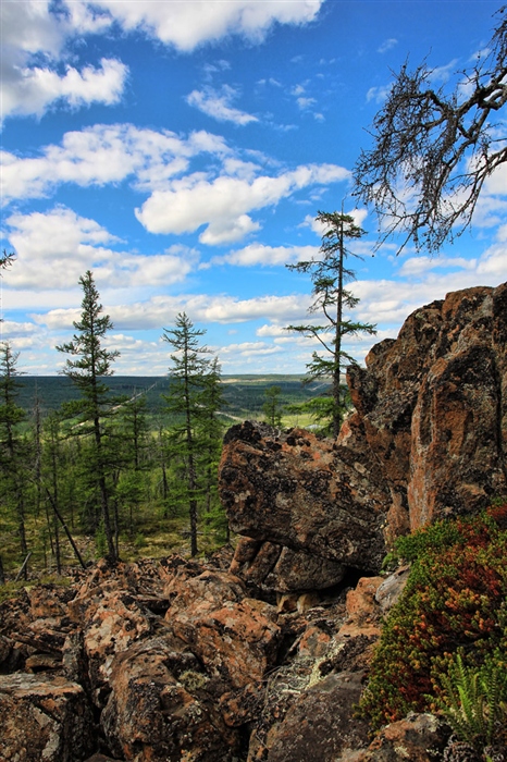 Фото жизнь