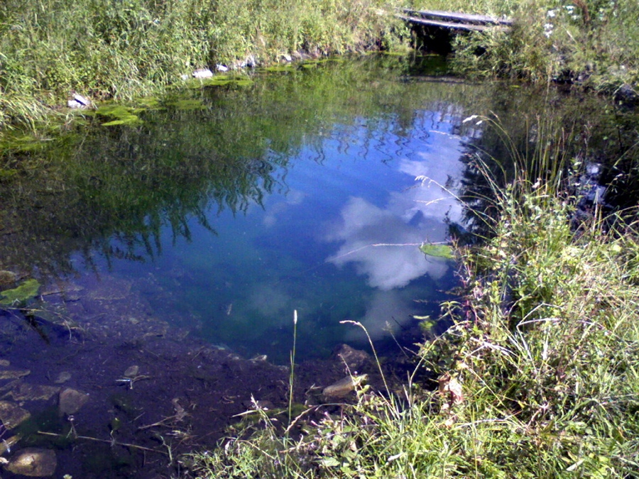 Фото жизнь