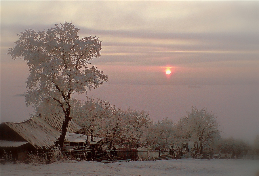 Фото жизнь