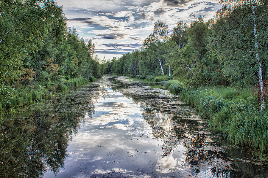 Фото жизнь (light) - qwertik - корневой каталог - ***