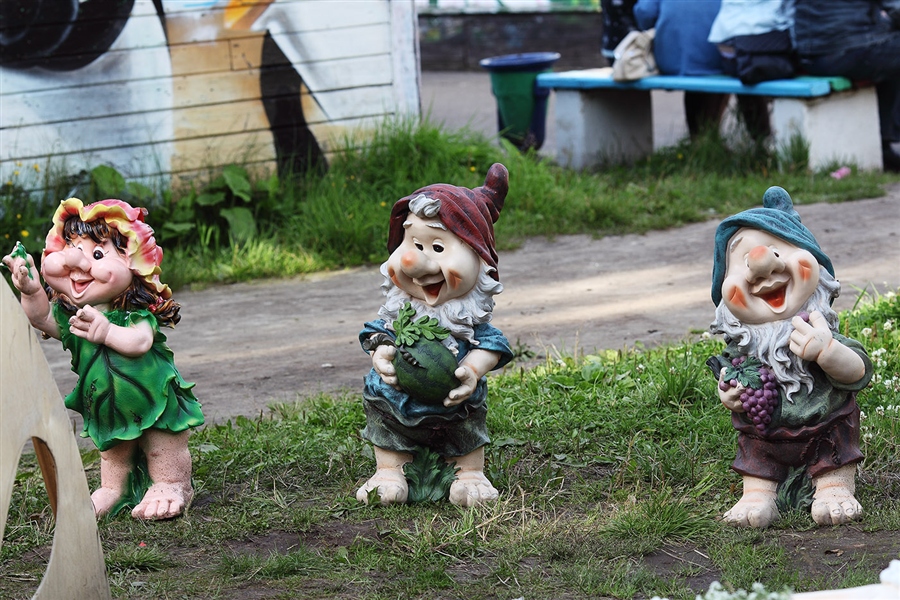 Фото жизнь